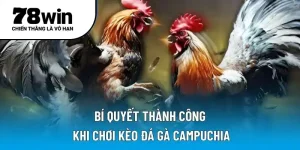 Bí quyết thành công khi chơi kèo đá gà Campuchia