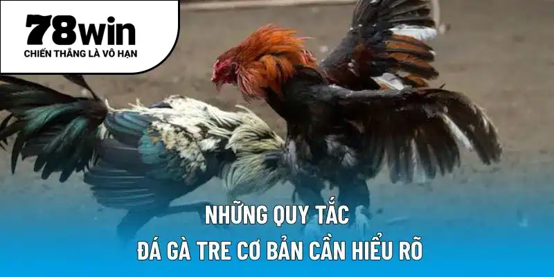 Những quy tắc đá gà tre cơ bản cần hiểu rõ