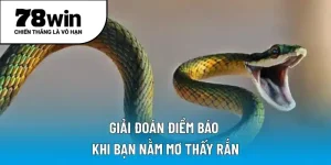Giải đoán điềm báo khi bạn nằm mơ thấy rắn